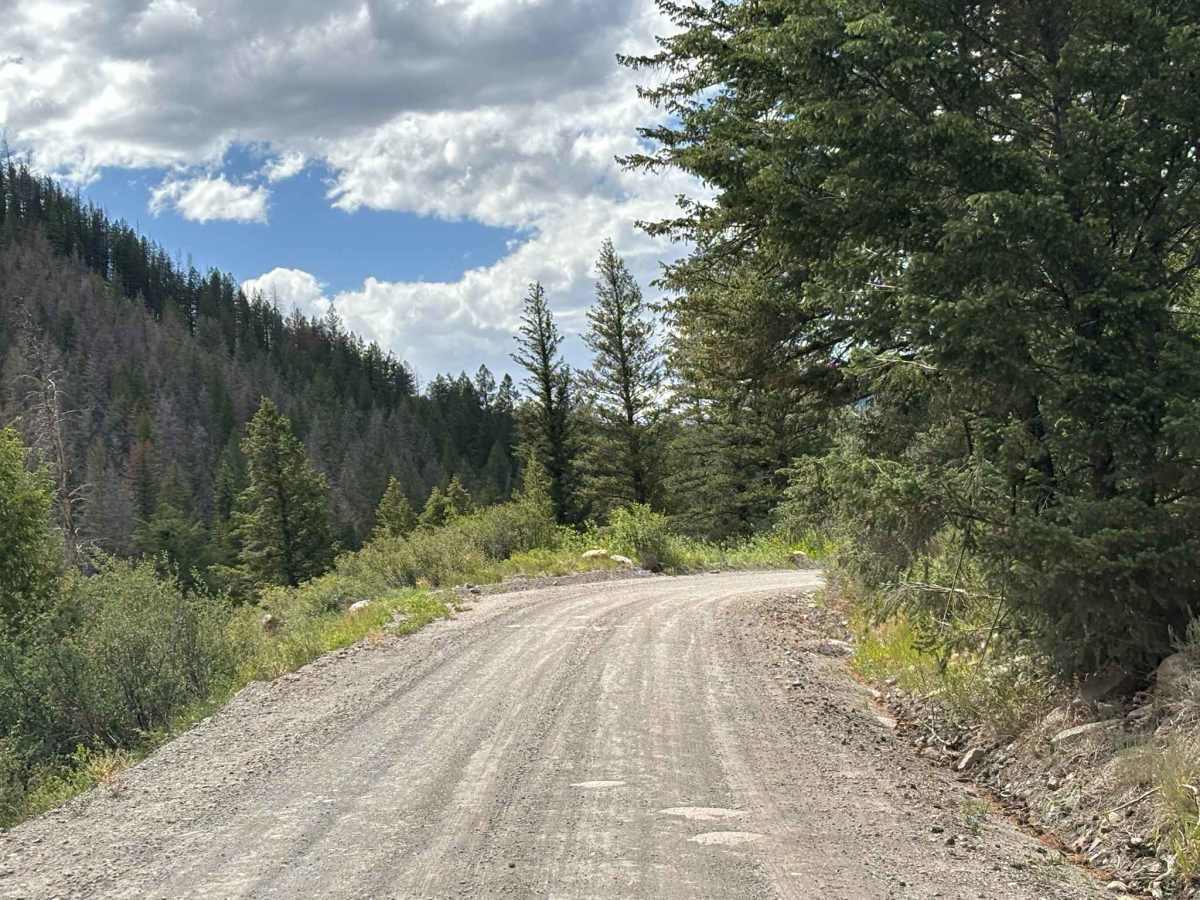 Lime Creek Road photo 3