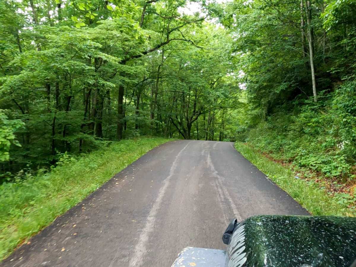 Myers Fork Road trail photo