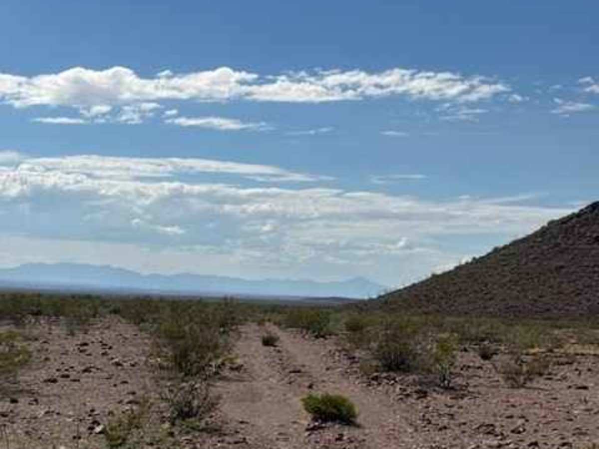 BLM PE1126 photo 5
