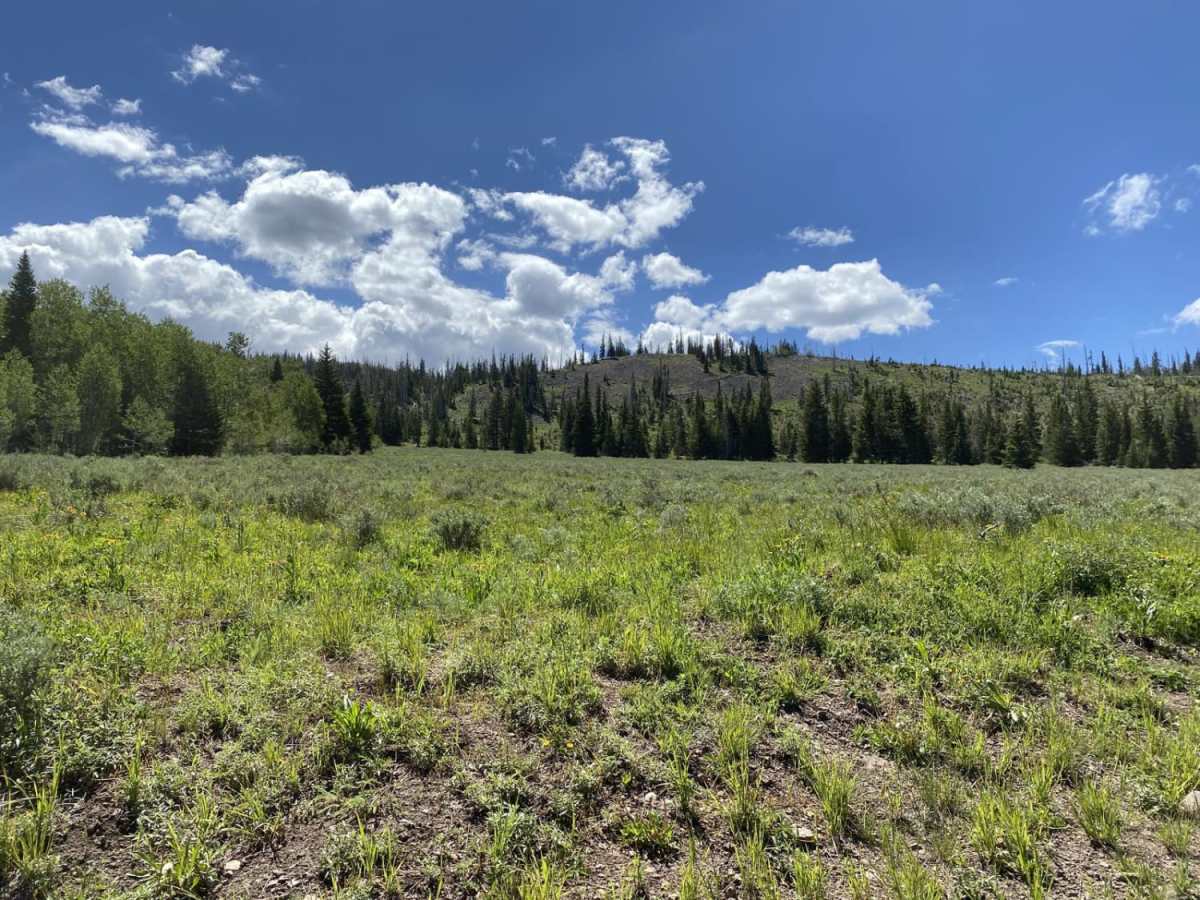 Gates Lake Road photo 5