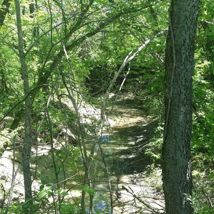 Near Cottonwood Creek Preserve