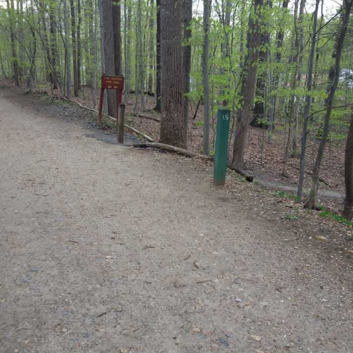 Intersection of Accotink Trail and Accotink Access Trail Near Accontink Access Trail