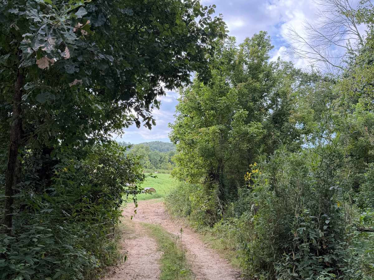 Dorsey South trail photo