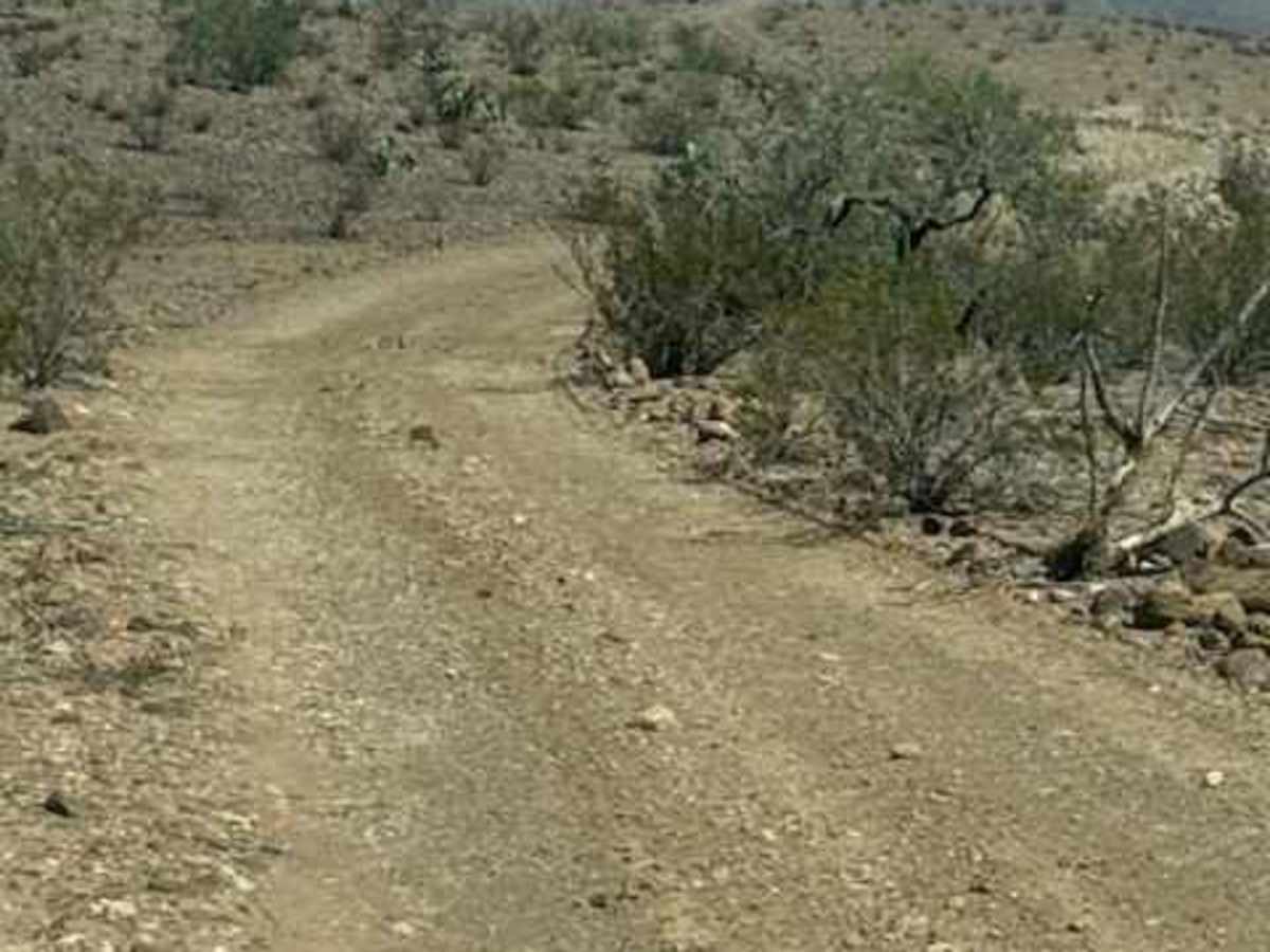 BLM PE1025 photo 2