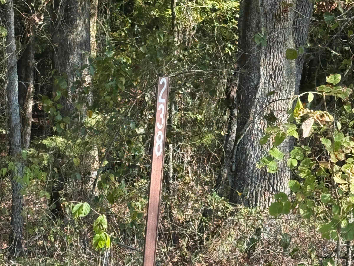 Bolan Creek trail photo