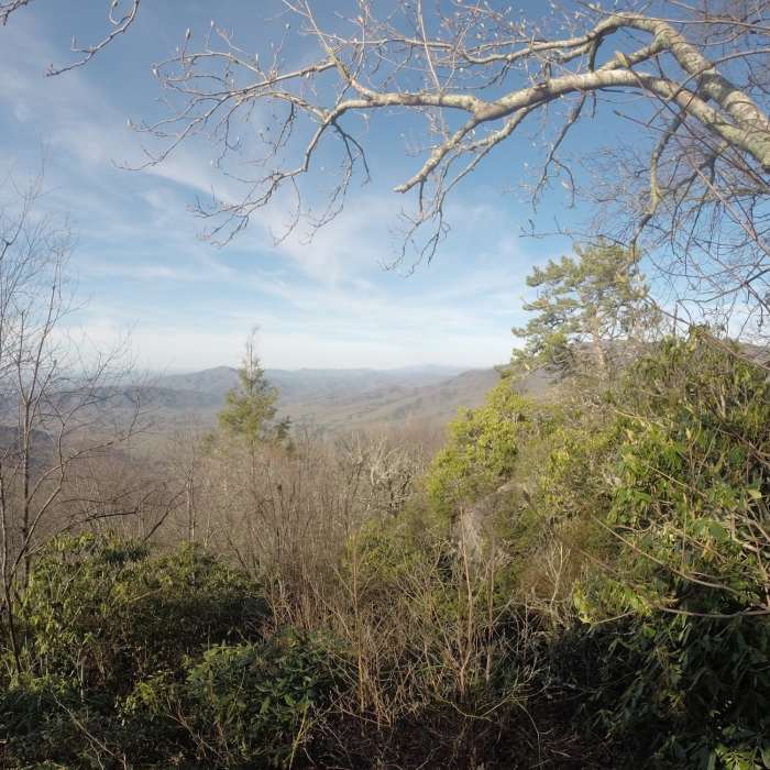 Near Snake Den Ridge Trail