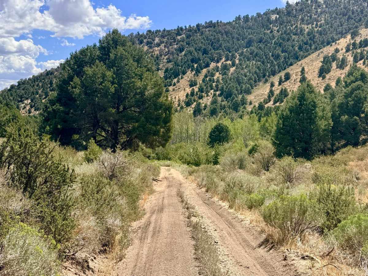  Lime Kiln Canyon - FS 57094 photo 3