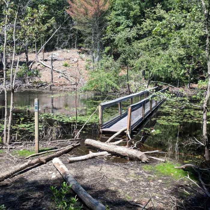 Floating bridge that is part of the yellow blaze connector over Echo Pond. Near Rocky Woods Loop