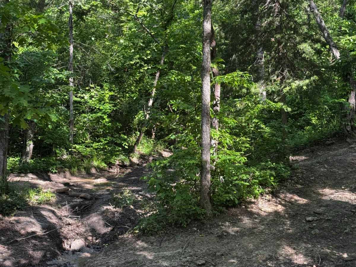 Inner Track 9 trail photo