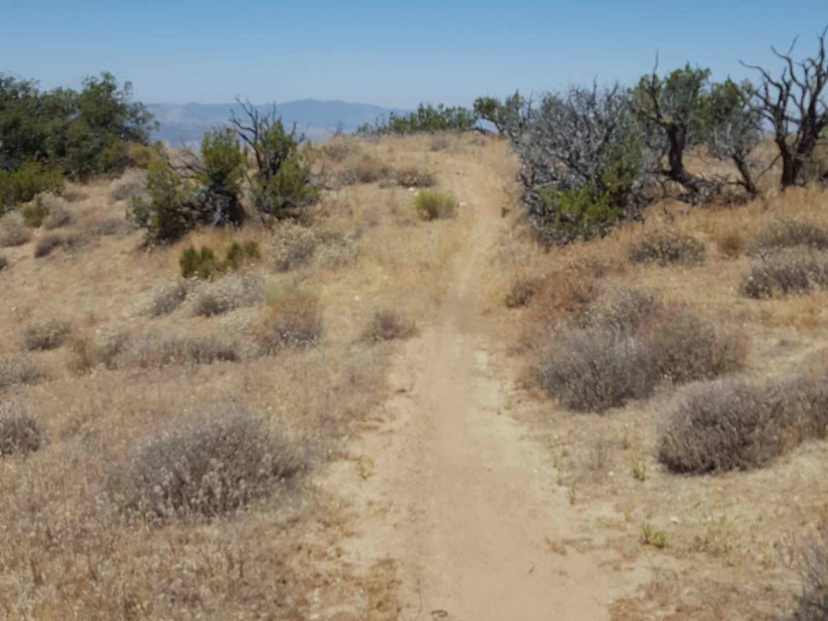 Trail 39 photo 2