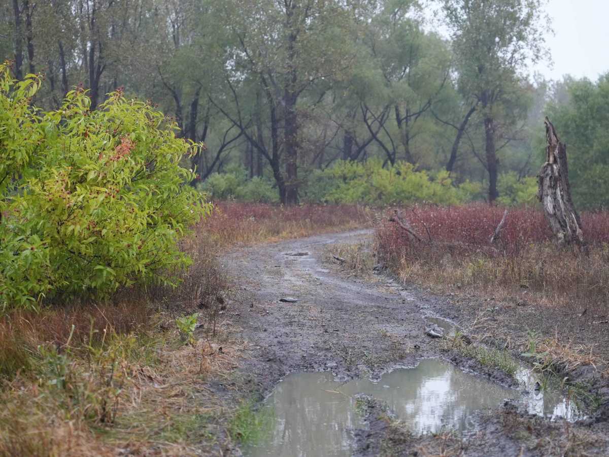 Otter Creek Main Trail photo 4