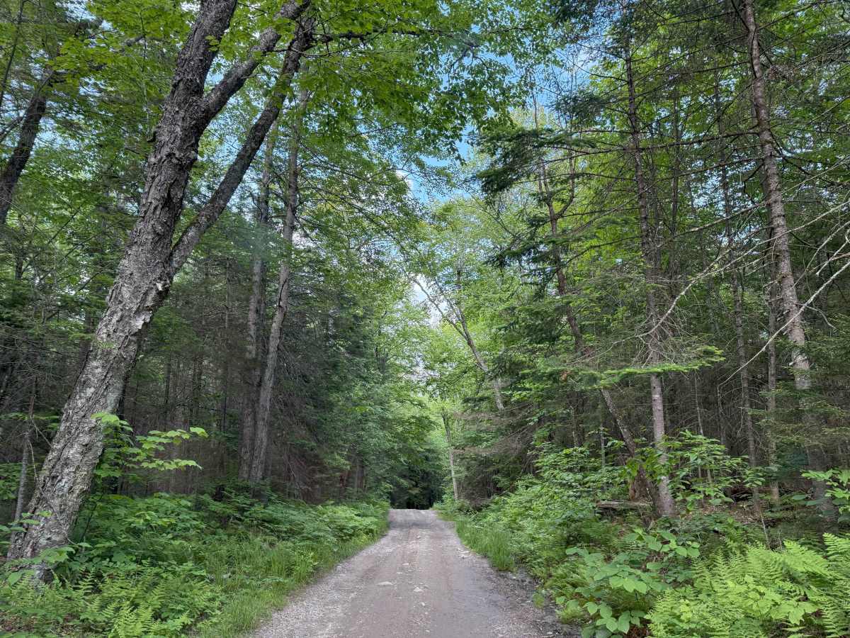 Sandwich Notch Road photo 6