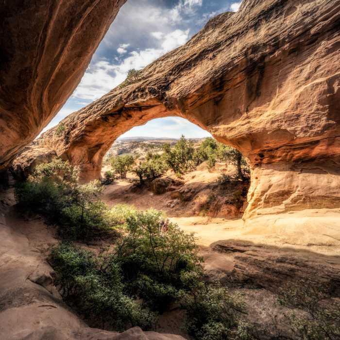 Near Moonshine Arch Trail