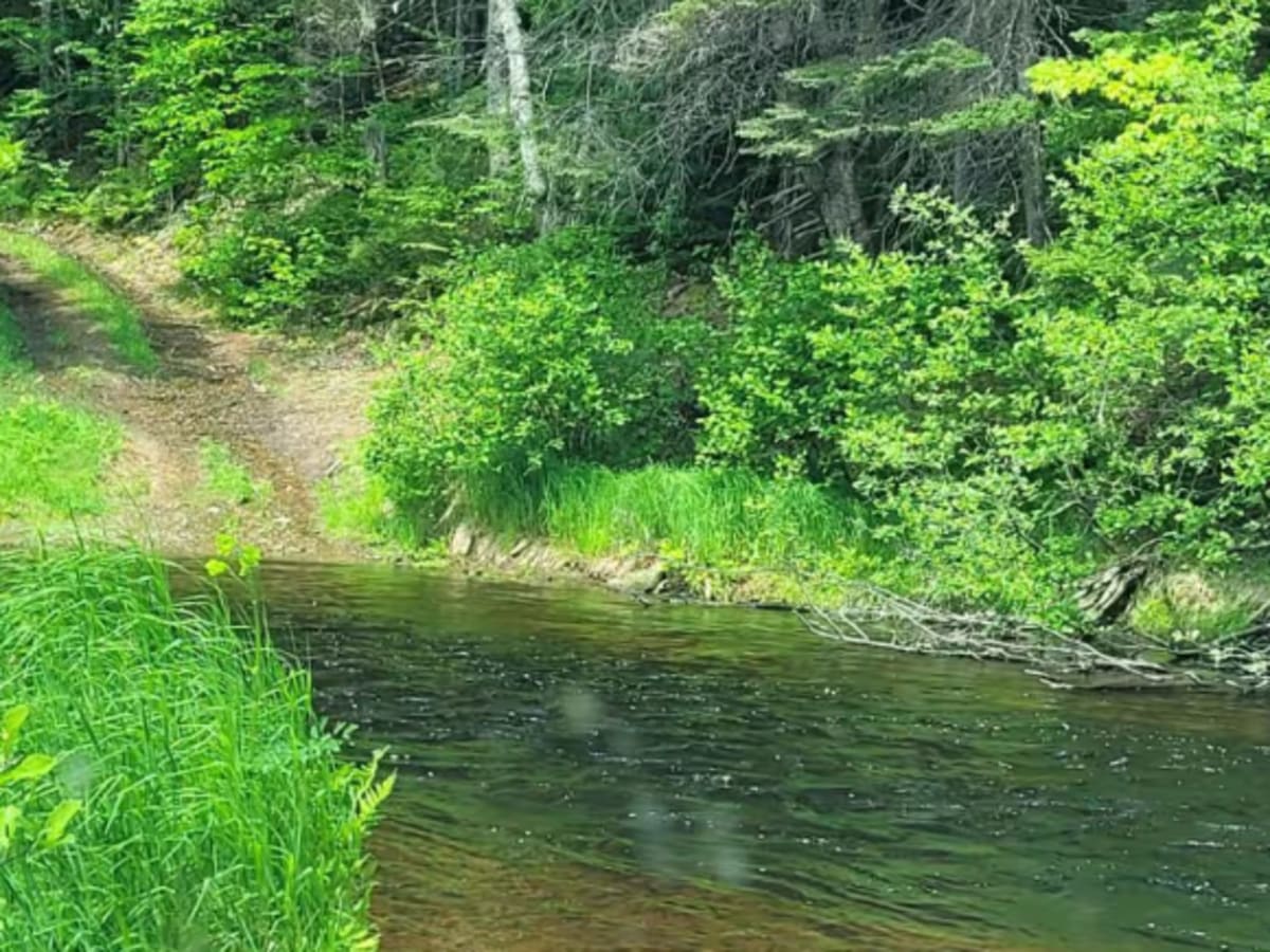 Betts Mill Brook photo 4
