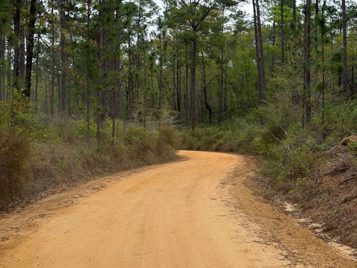 Simmons Road trail photo