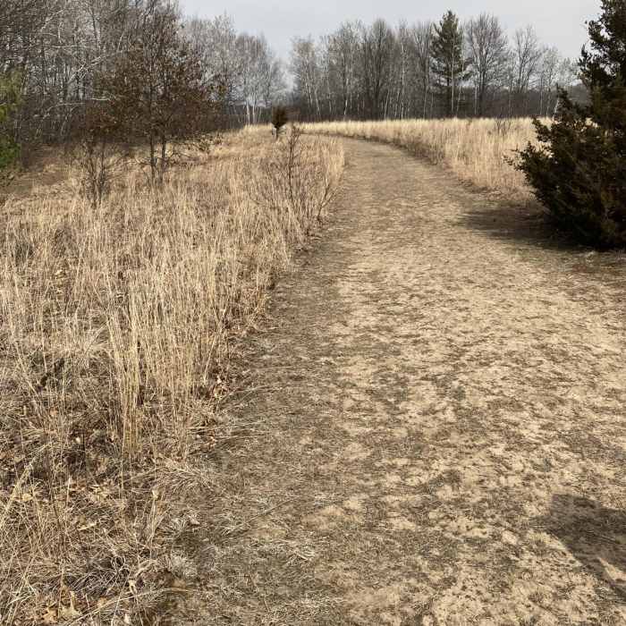 Near Wetlands Loop Trail Near Wetlands Loop Trail