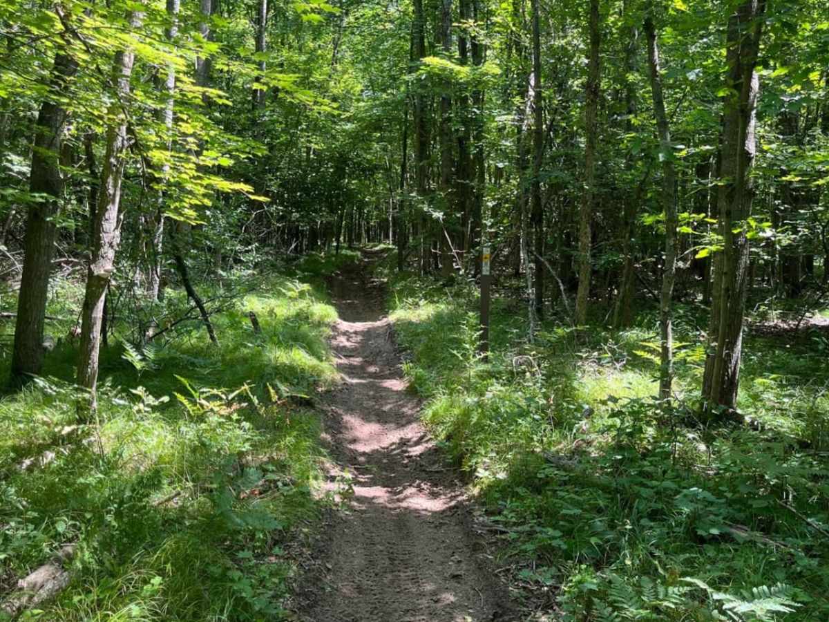 Tin Cup Springs Motorcycle Trail photo 5