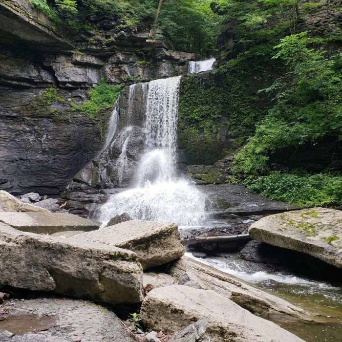 Near Gorge Trail