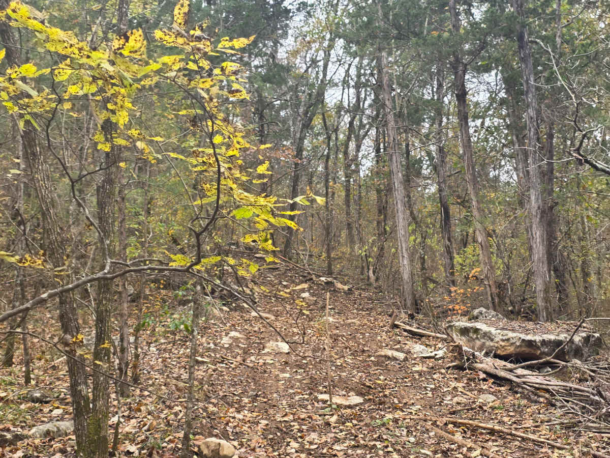 Spectator Hill #1 photo 4