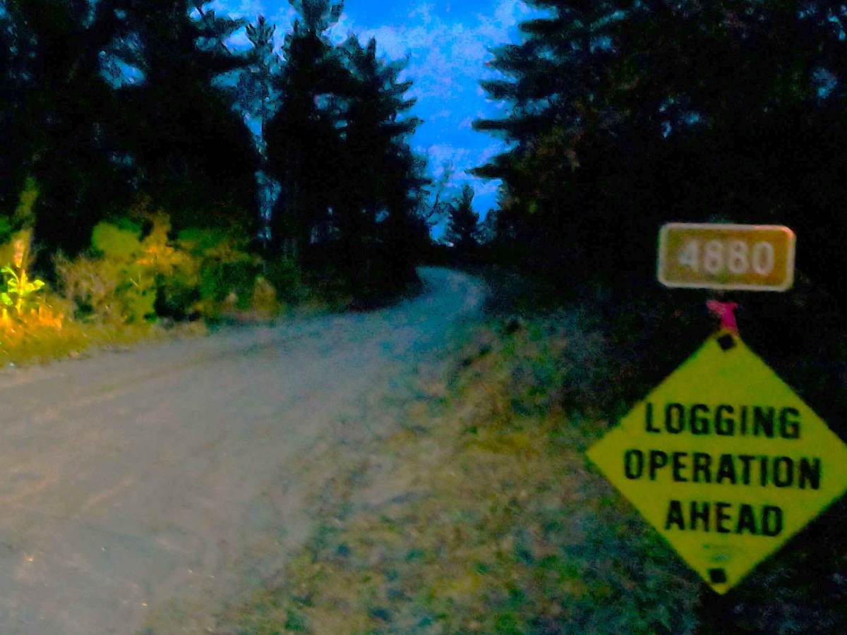 Indian Lake Road - FS 4880 trail photo