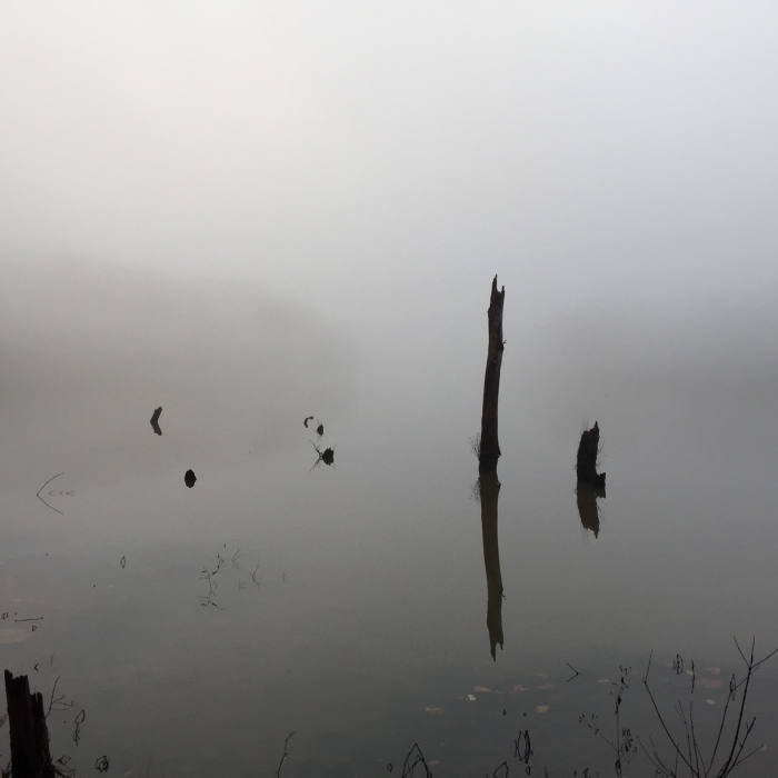 Near Bull Run-Occoquan Trail