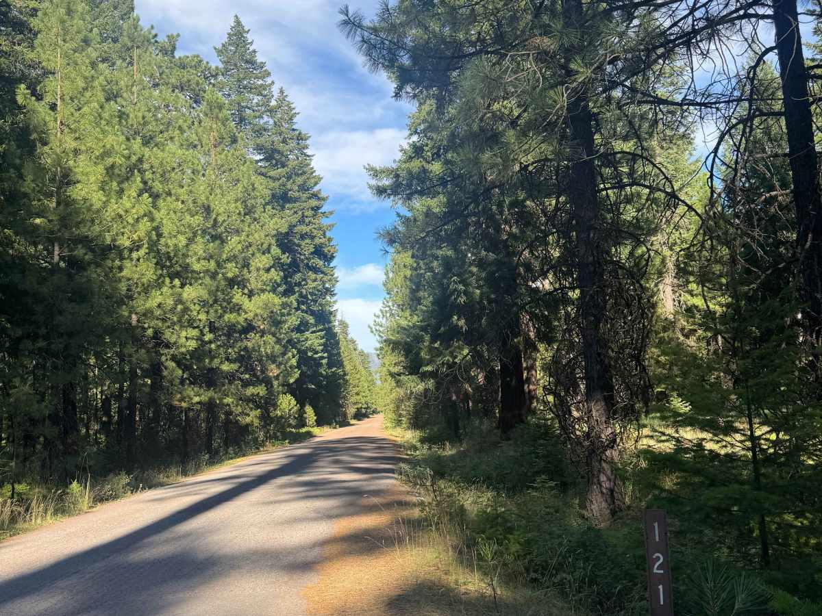 FS 1217 trail photo