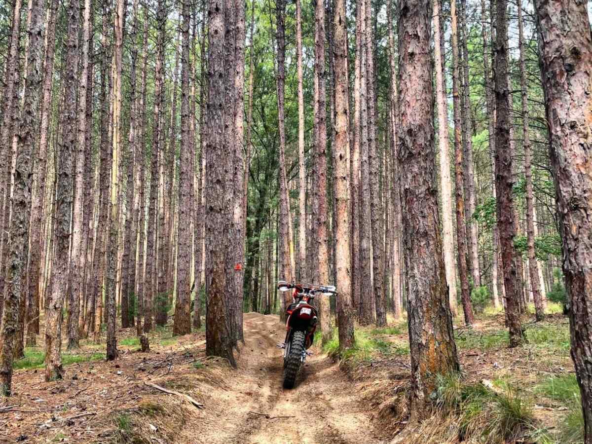 Cedar Creek Motorsport Trail (South Loop) photo 6