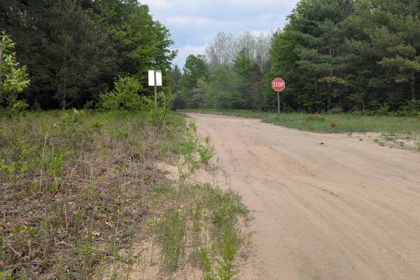 Geels Loop