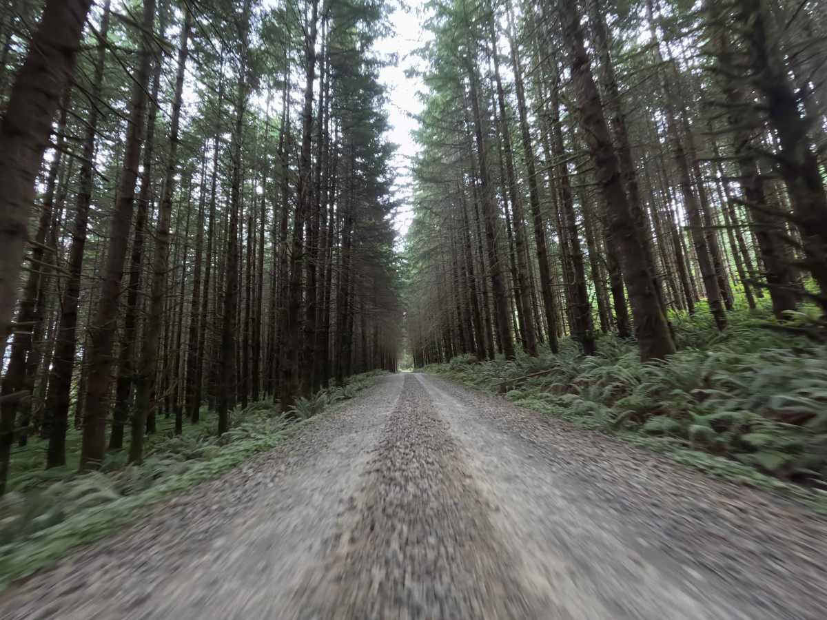 Camp Nine Road photo 3