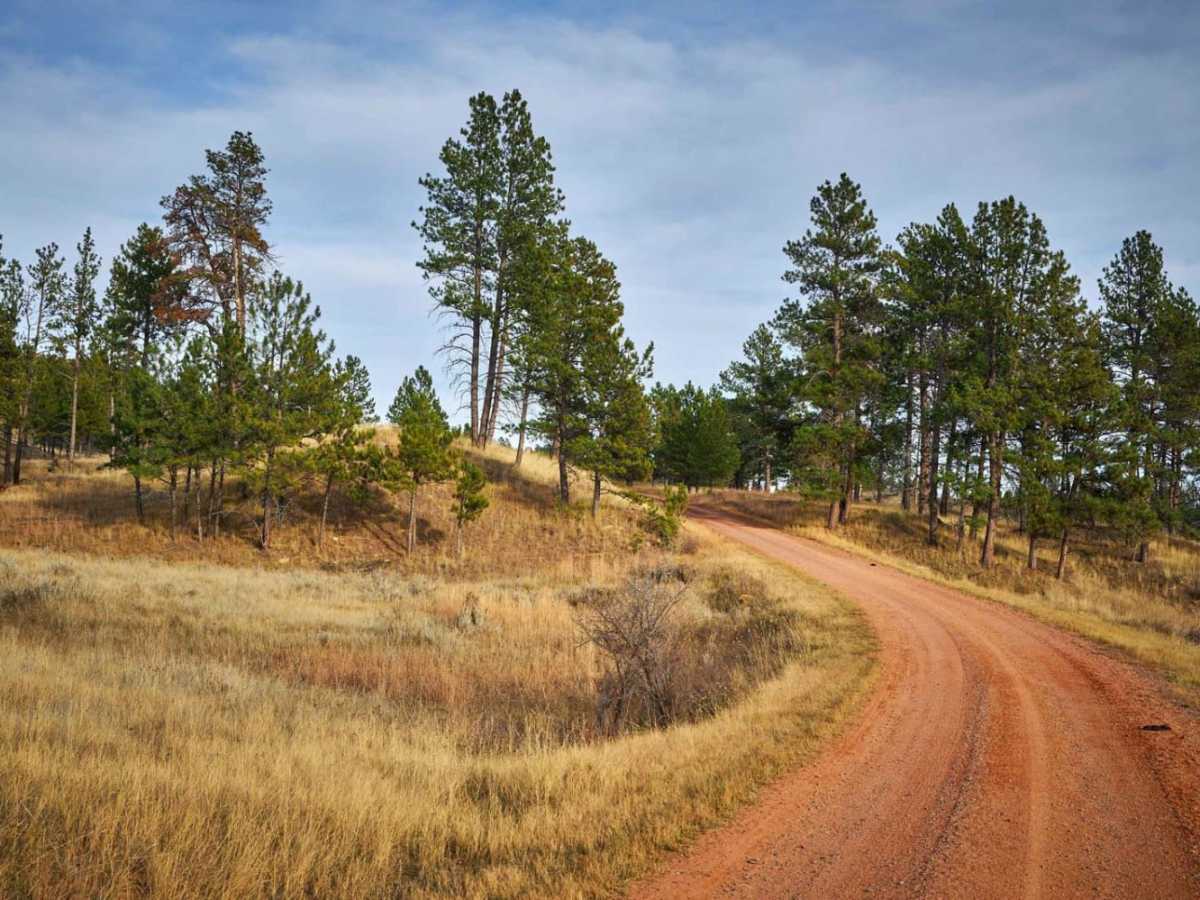 Ten Mile Creek Road photo 4