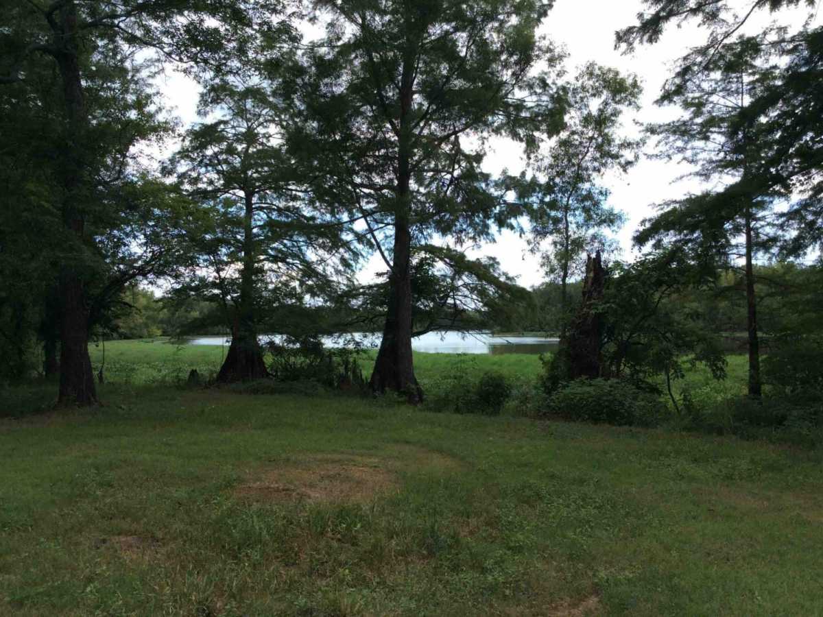 Grassy Lakes Wildlife Management Area (WMA) Central Trail photo 2