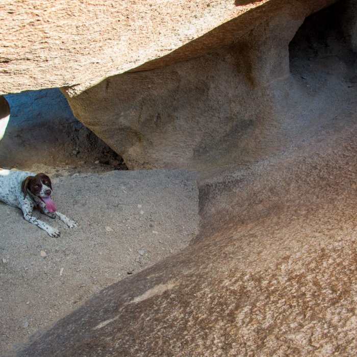 Near Fat Man's Pass via National Trail