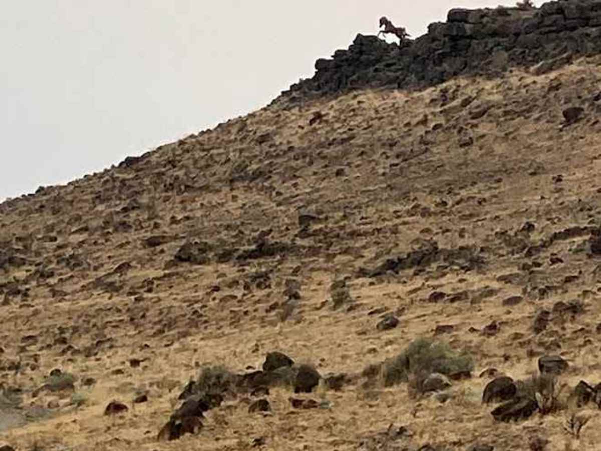 Wild Horse Monument photo 6