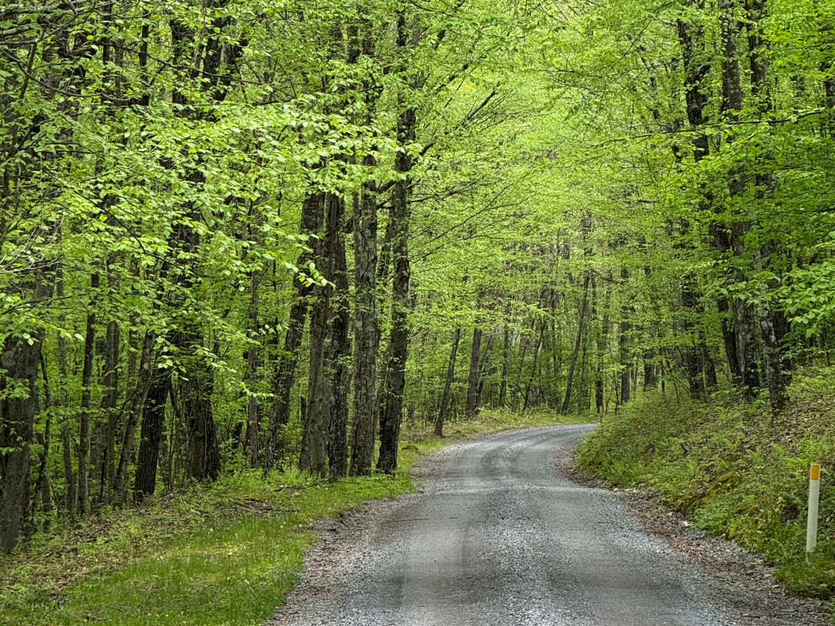 Boone Road photo 3