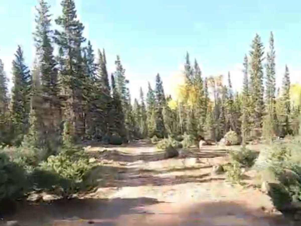 Pacer Lake ATV Trail - 34004 photo 3