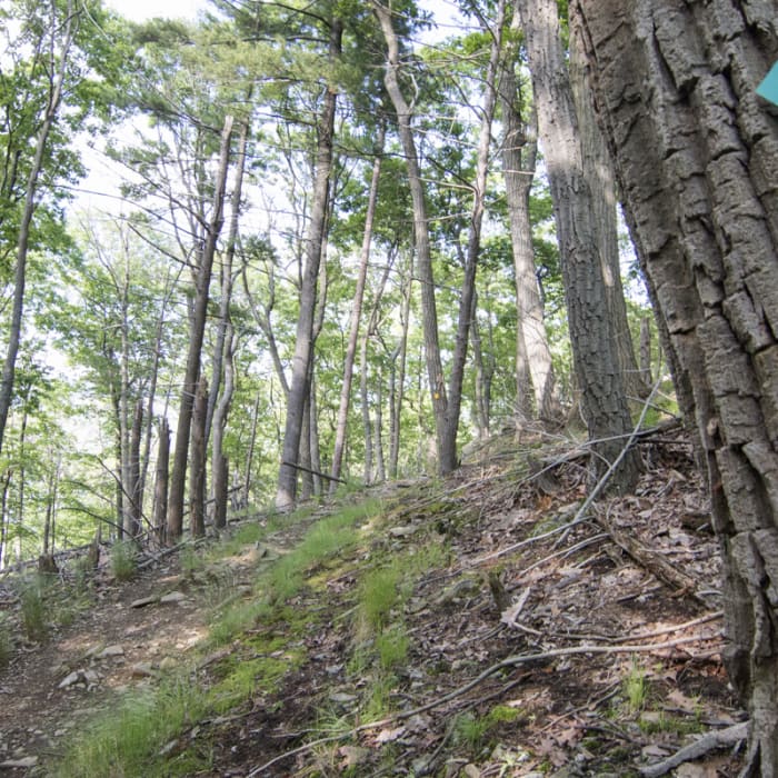 Near Storm King Mountain