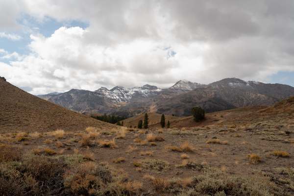 Wolf Creek