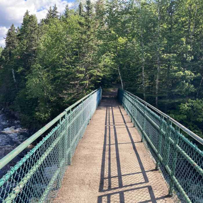 Near Devil's Kettle Trail Near Devil's Kettle Trail