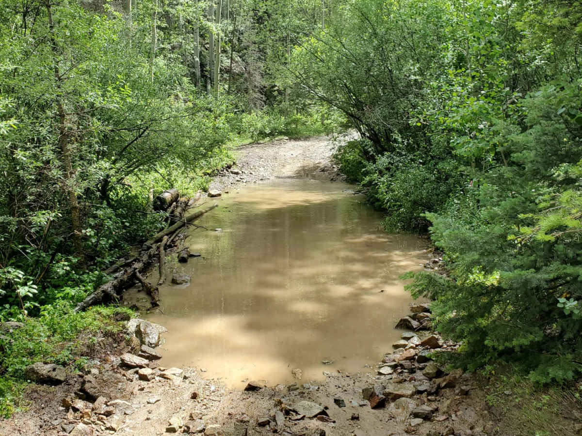 Pioneer Creek trail photo