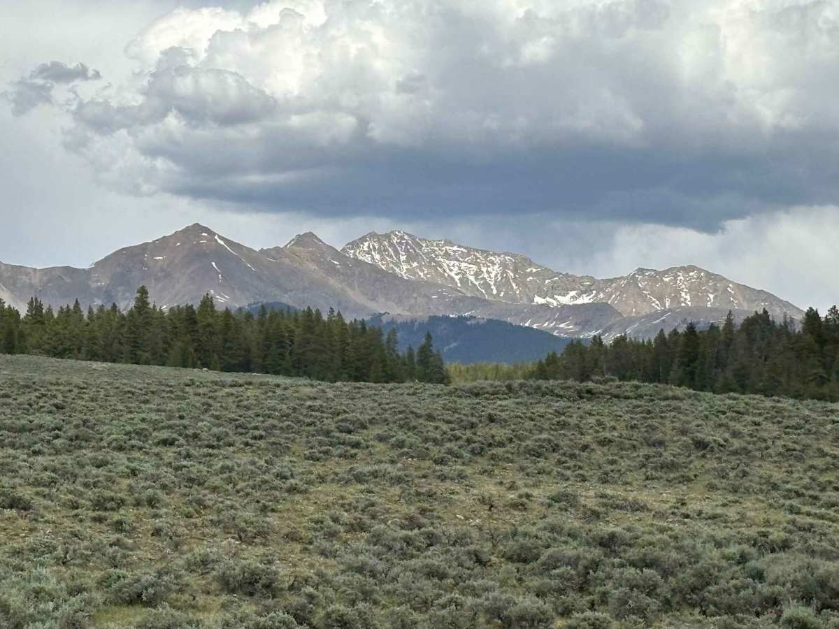 Taylor River Road photo 3