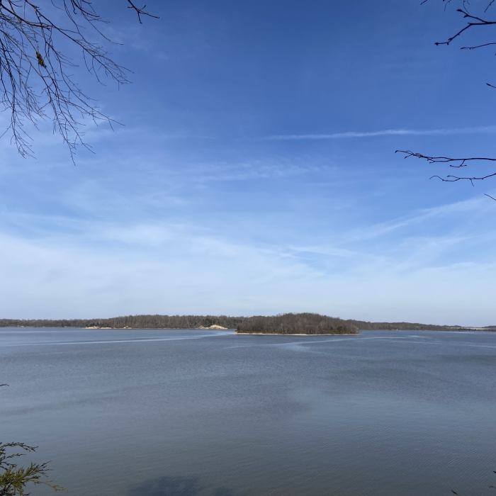 Near Ward Loop