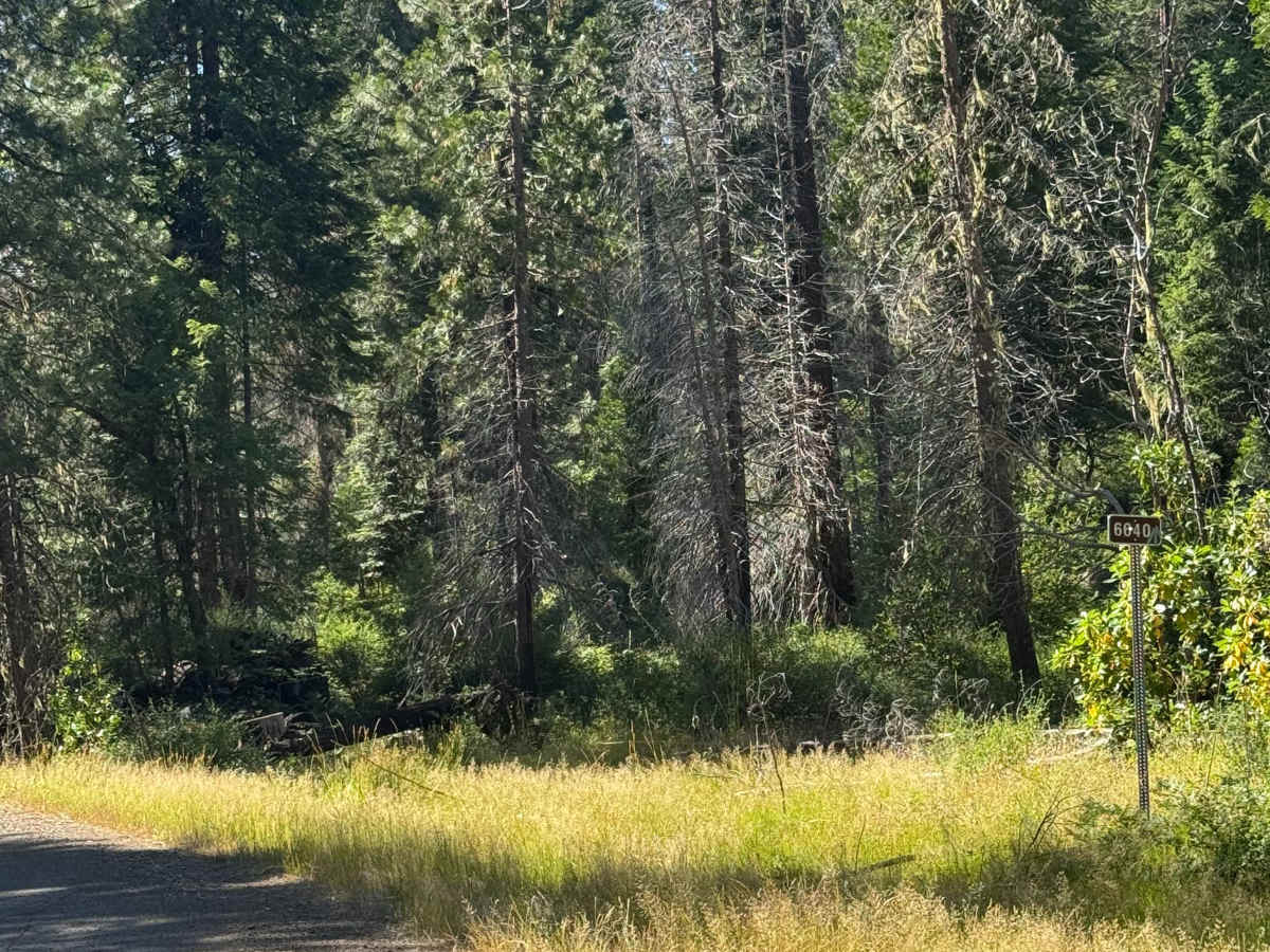 FS 6640 trail photo