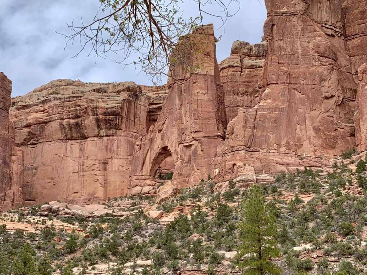 Arch Canyon trail photo