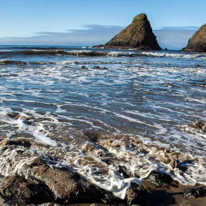 Near Heceta Head Lighthouse