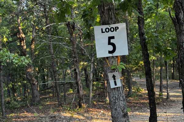 Loop 5
