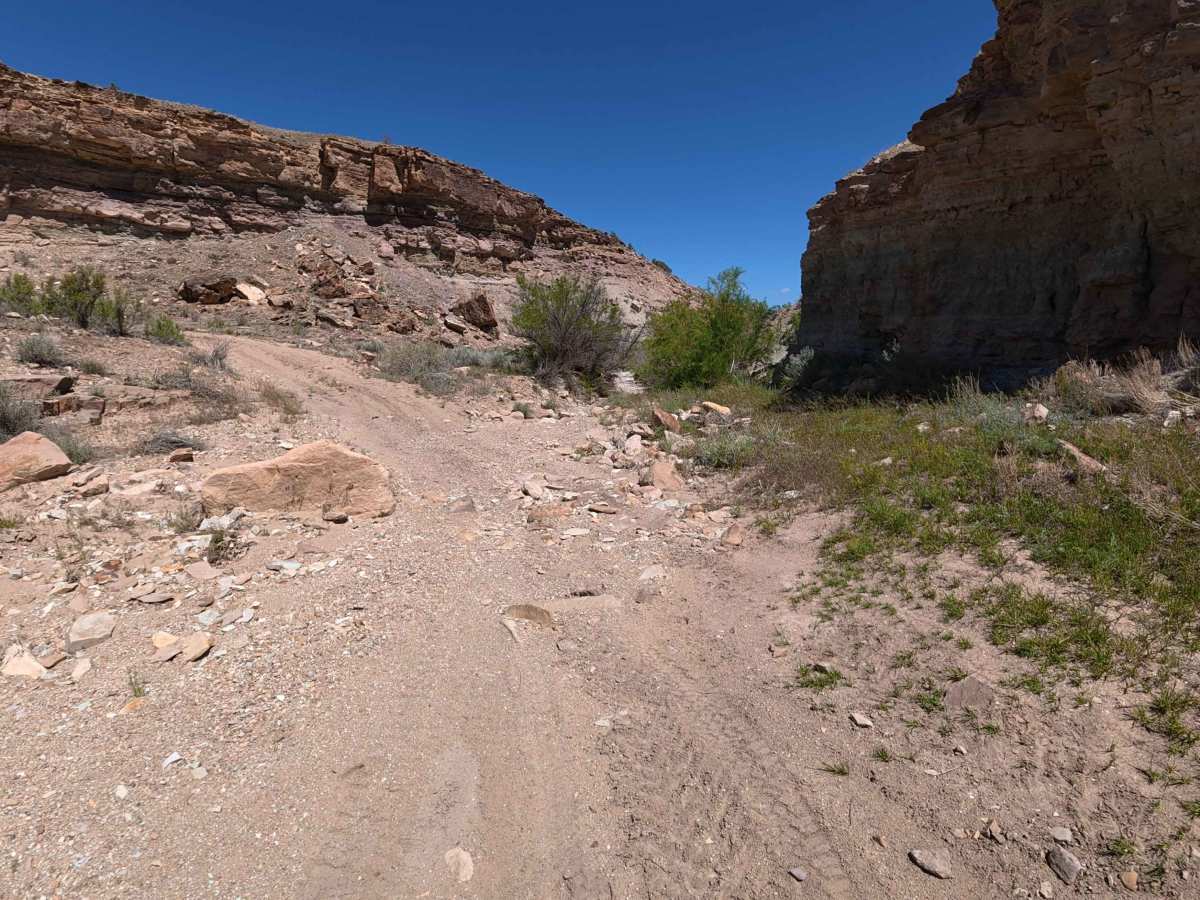 Denca Road Spur A trail photo
