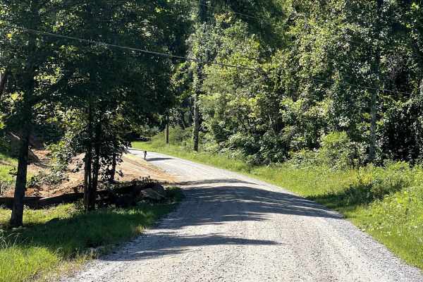 State Route 90