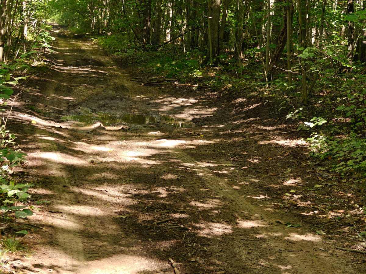 Cut Trail photo 4