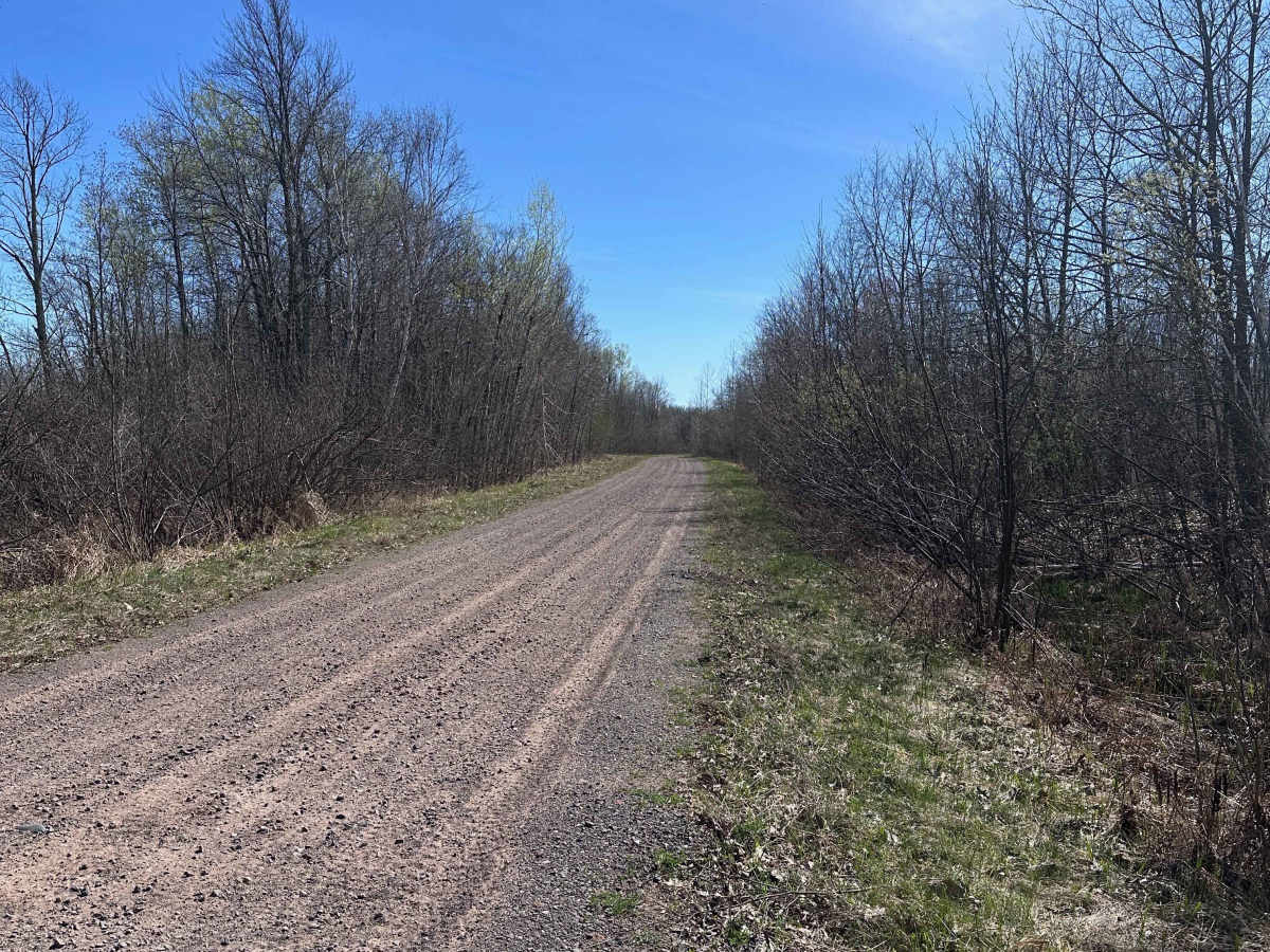 Mallard Lake Forest Road photo 3