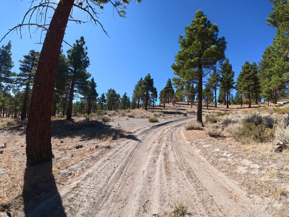 Long Valley Caldera photo 6